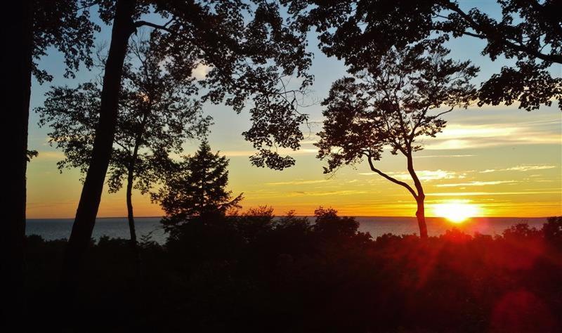 Pet-Friendly One Crow Cottage In Harbor Springs! Екстер'єр фото
